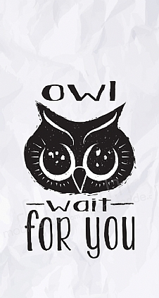 Owl Wait For You