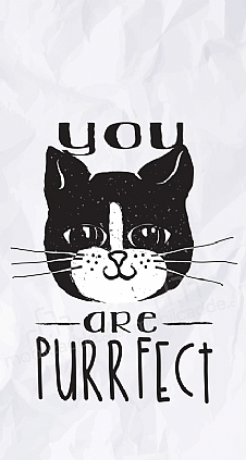 You Are Purrfect