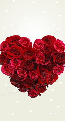 Rose Love 1