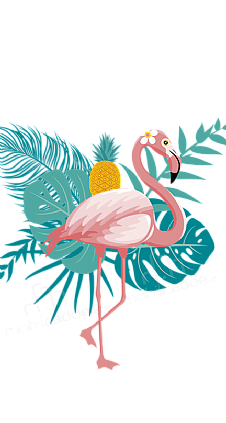 Pineapple Flamingo