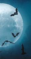 Moon Bat