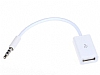 Eiroo Ara ii 3,5 Jack Aux to USB Dntrc Adaptr - Resim: 2