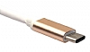Cortrea USB Type-C HDMI + USB HUB Gold Adaptr - Resim: 1
