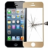 Dafoni iPhone SE / 5 / 5S Metal Kenarl Tempered Glass Premium Gold Cam Ekran Koruyucu - Resim: 3