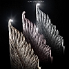 Eiroo Angel Wings iPhone 6 / 6S ift Katmanl Gold Rubber Klf - Resim: 6