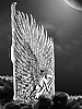 Eiroo Angel Wings iPhone 6 / 6S ift Katmanl Silver Rubber Klf - Resim: 4