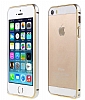 iPhone SE / 5 / 5S Gold izgili Metal Round Bumper Silver Klf - Resim: 1