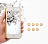 Kalaideng Dress Series iPhone SE / 5 / 5S Standl Pencereli Gold Deri Klf - Resim: 4