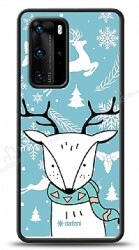 Dafoni Art Huawei P40 Pro Cold Deer Kılıf - Dafoni