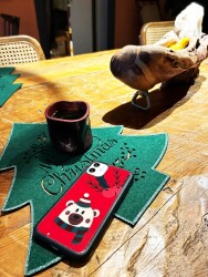 Dafoni Art iPhone 11 Pro Max Christmas Bear Kılıf - 3