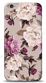 iPhone 6 Plus Old Roses Klf