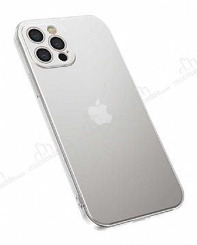 Benks Matte Electroplated iPhone 12 Pro Max 6.7 in effaf Silikon Klf
