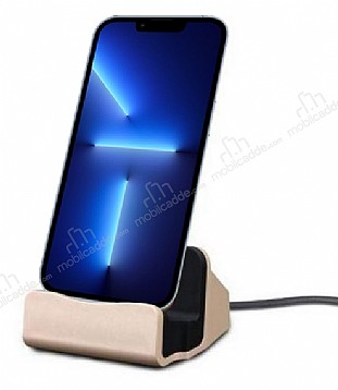 Eiroo iPhone 13 Pro Max Lightning Masast Dock Gold arj Aleti