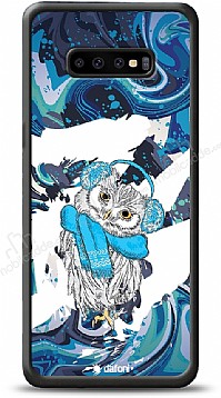 Dafoni Art Samsung Galaxy S10 Winter Owl Klf