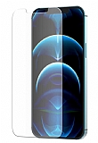 Araree Subcore iPhone 12 Pro Max 6.7 inç Temperli Ekran Koruyucu