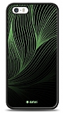 Dafoni Neon iPhone SE / 5 / 5S Linear Kılıf