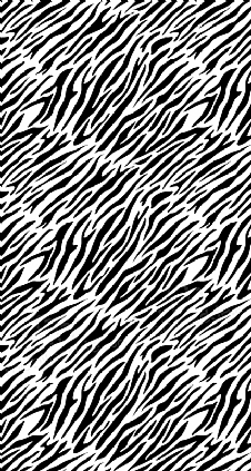 Zebra Desenli Beyaz