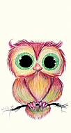 Cuddly Owl