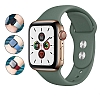 Apple Watch 4 / Watch 5 Cam Ak Pembe Klf (40 mm) - Resim: 3