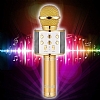 Eiroo Hoparlrl Gold Karaoke Mikrofon - Resim 1