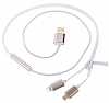Eiroo Fermuarl Lightning & Micro USB Gold Ksa arj Kablosu 88cm - Resim 2