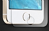 Dafoni iPhone SE / 5 / 5S / 5C Mat Tempered Glass Premium Cam Ekran Koruyucu - Resim 1