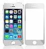 Dafoni iPhone SE / 5 / 5S / 5C Tempered Glass Ayna Silver Cam Ekran Koruyucu - Resim 1