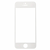 Dafoni iPhone SE / 5 / 5S Metal Kenarl Tempered Glass Premium Silver Cam Ekran Koruyucu - Resim 1
