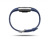 Fitbit Charge 2 Akll Bileklik Blue Silver Large FB407SBUL-EU - Resim 2