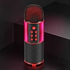Soaiy MC12 Siyah Karaoke Mikrofon - Resim: 1