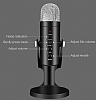 Stdyo Mikrofon - Resim: 3